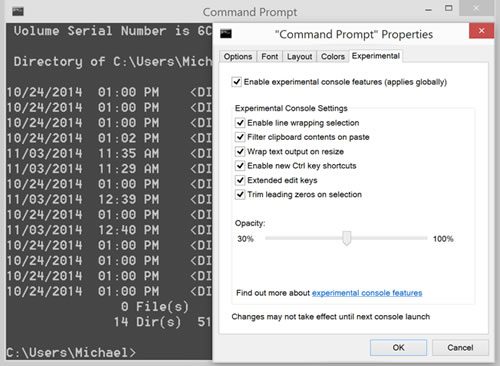 Figure 2 : New Command Prompt properties to enable experimental features.