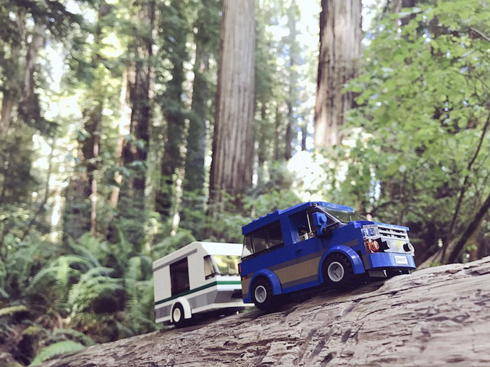 the camper in the Endor trees