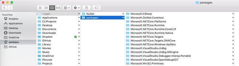 NuGet Cache