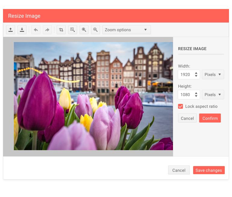 image-editor-dialog-resize