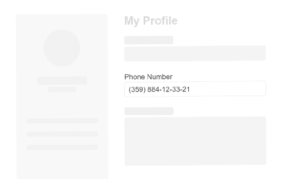 The Masked TextBox component being used for phone number entry