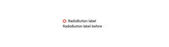 Vue RadioButton Labels