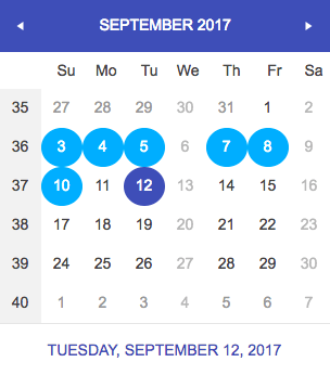 Calendar multi-day