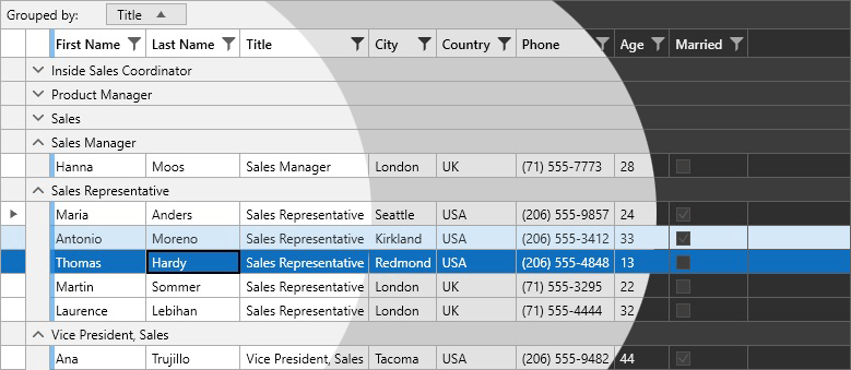 Office 2019 GridView Variations