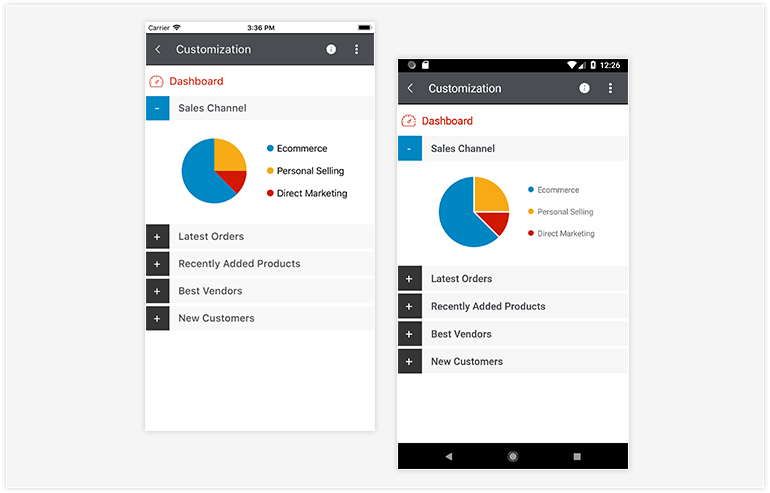 Telerik UI for Xamarin - Accordion Control - Customization