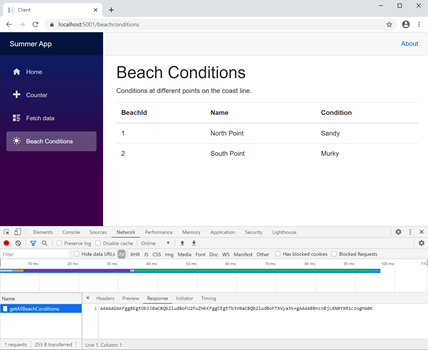 Beach Conditions page with Network tab showing Binary Data