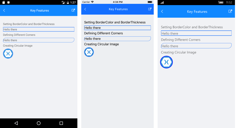 Telerik UI for Xamarin - Border Control - Customizations