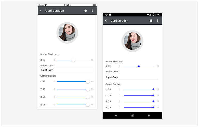 Telerik UI for Xamarin - Border Control - Configuration