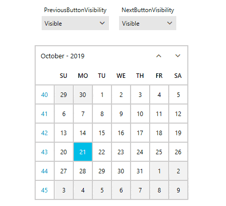 Calendar Buttons Visibility Calendar Buttons Visibility