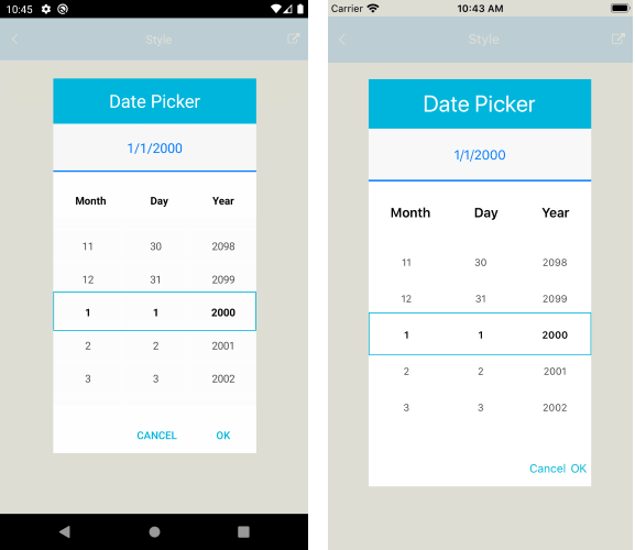 style date and time picker for xamarin