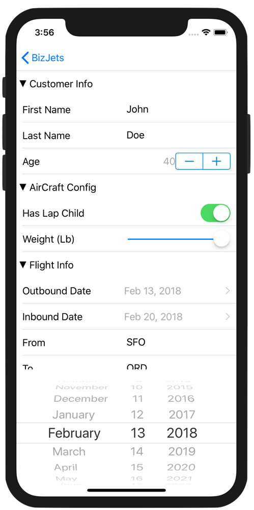 DateControlAviationForm DateControlAviationForm