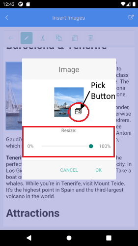 edit dialog for images in editor for Xamarin with pick button and resize slider