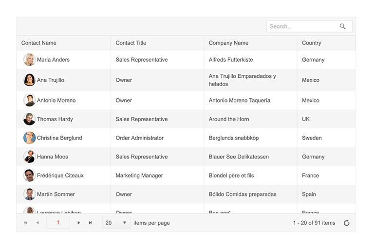 Telerik UI for ASP.NET Core Grid Search Panel