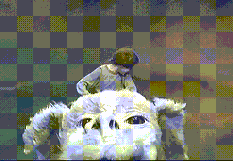 excited boy on the back of a dragon excited boy on the back of a dragon