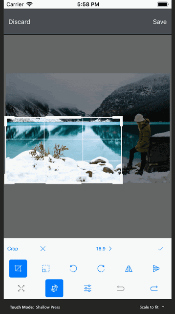 ImageEditorCrop Image Editor Crop