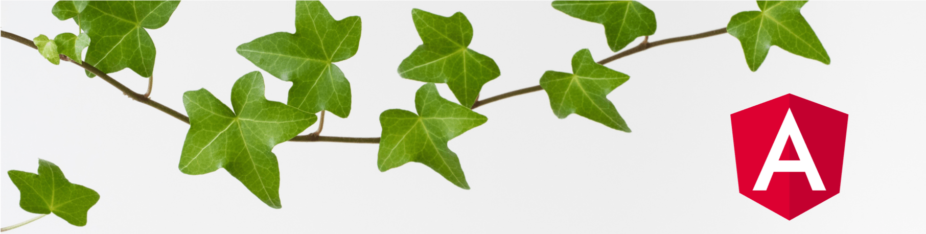 Angular Ivy