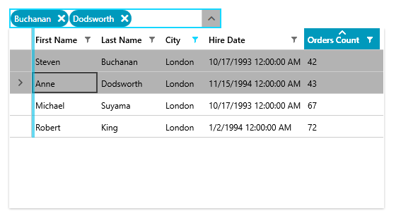 Multiple Selection in the MultiColumnComboBox