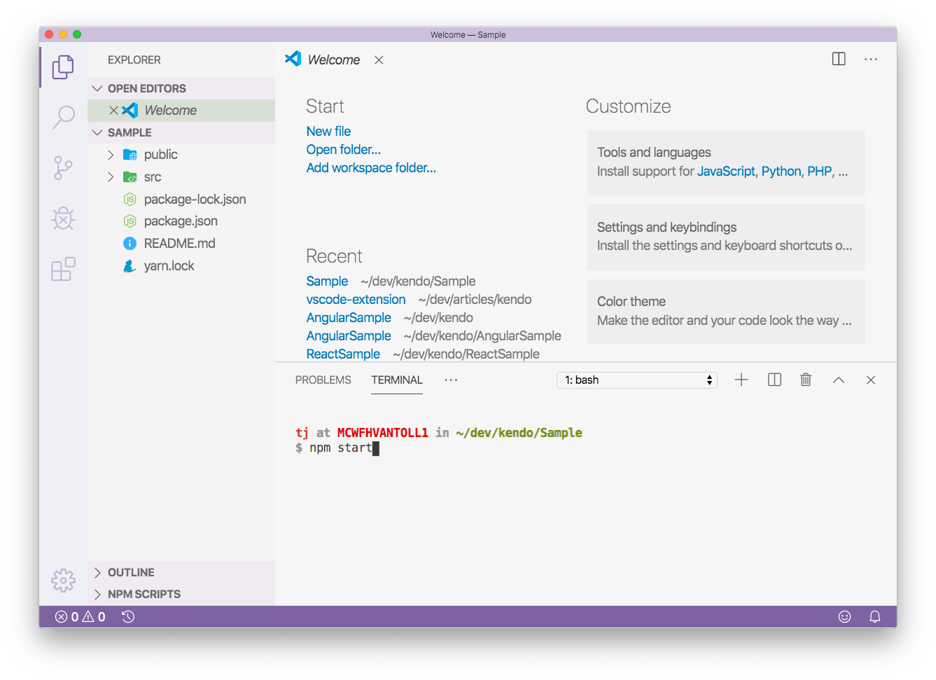 npm-run-start npm-run-start