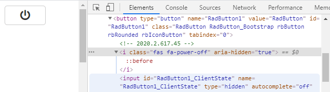 pic2_RadButton pic2_RadButton