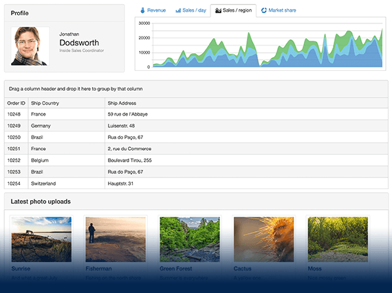 Telerik UI for ASP。净MVC套件