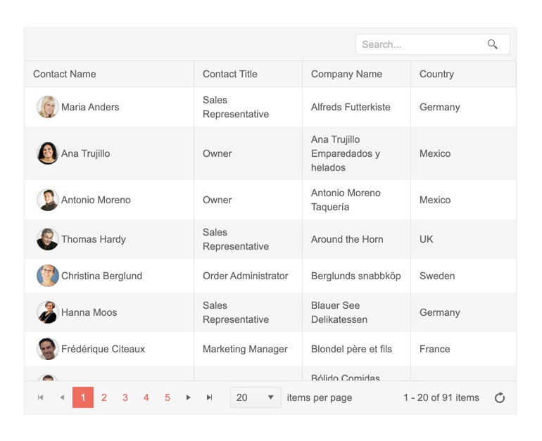 Search bar for ASP.NET Core Grid