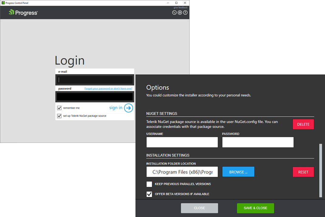 Telerik Control Panel Automatic NuGet Setup