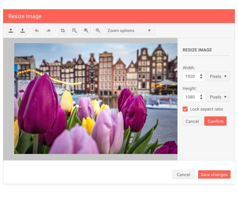 Telerik UI for ASP.NET Core Image Editor Dialog Resize Telerik UI for ASP.NET Core Image Editor Dialog Resize