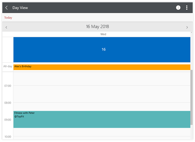 Telerik UI for UWP - Calendar - DayView (2)
