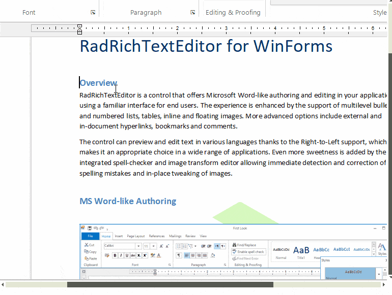 Telerik UI for WinForms RichTextEditor control displaying Format Painter Image