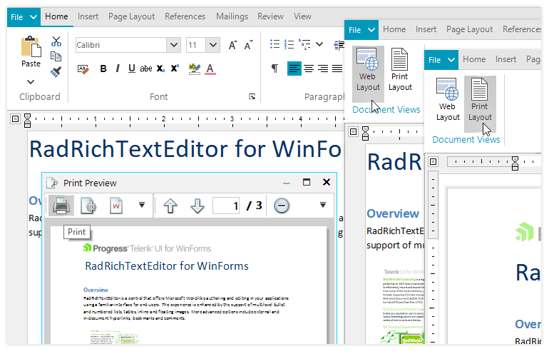 Telerik WinForms RichTextEditor - Different Views and Printing