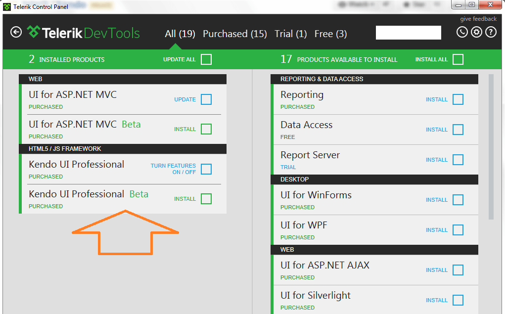 TelerikControlPanel