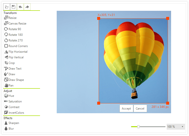Telerik UI for WinForms -图像编辑器-概述图像