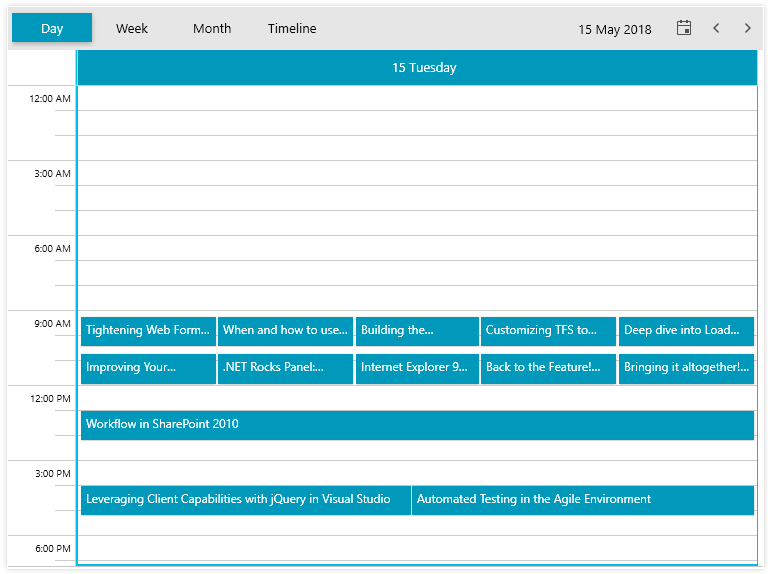 WPF ScheduleView control showing a Day View