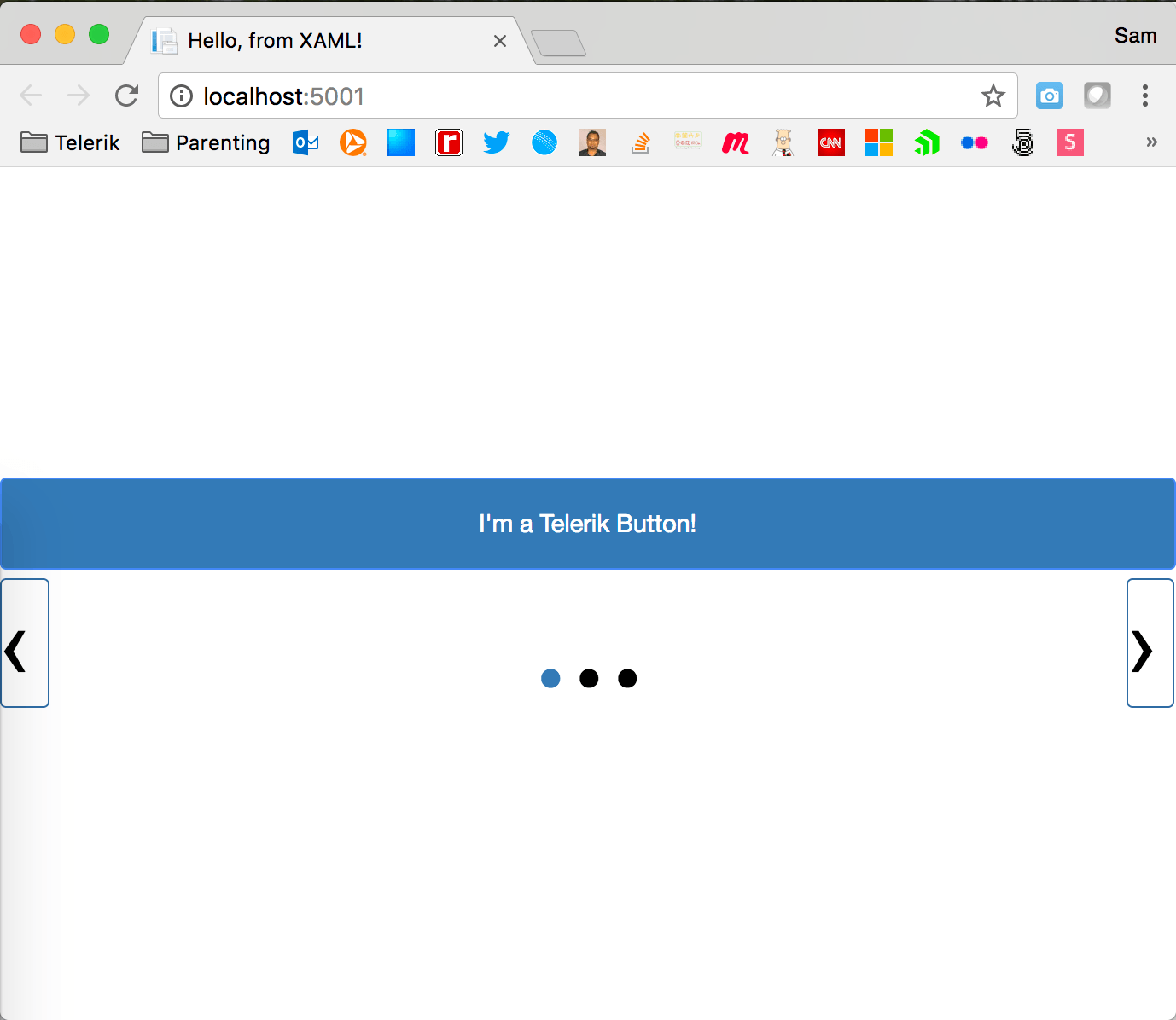 XFTelerikUI Telerik Xamarin UI on Web