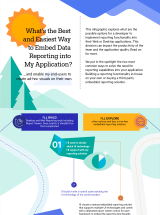Best and Easiest Way to Embed Reporting Infographic
