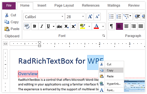 WPF RichTextBox control showcasing MS word-like authoring