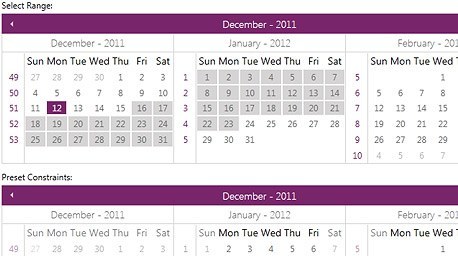 WPF Calendar control displaying Constraints for Your Business Scenario