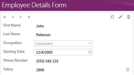 WPF DataForm control showcasing easy to use forms