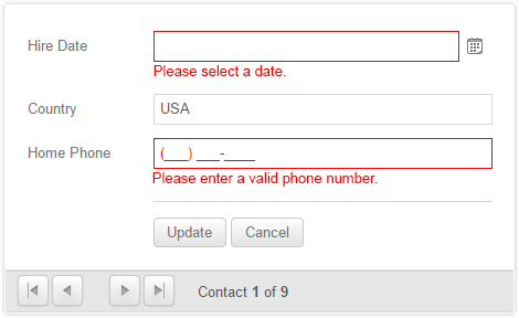 Telerik UI for ASP.NET AJAX DataForm - Built-in Validation