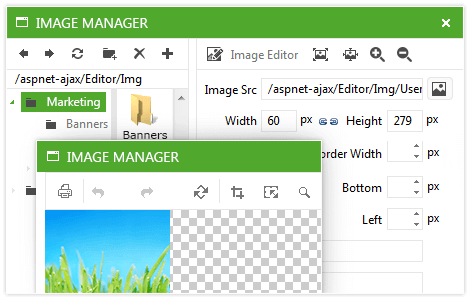 Telerik UI for ASP.NET AJAX File Editor - hyperlink and image managers