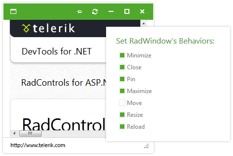 Telerik UI for ASP.NET AJAX Window-User interactions
