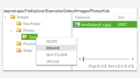Telerik UI for ASP.NET AJAX File Explorer - upload and preview files