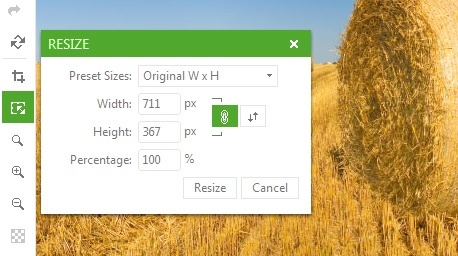 Telerik UI for ASP.NET AJAX Image Editor - toolbar modes