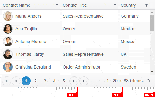 Responsive ASP.NET Grid