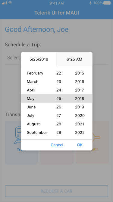 .NET MAUI DateTimePicker control