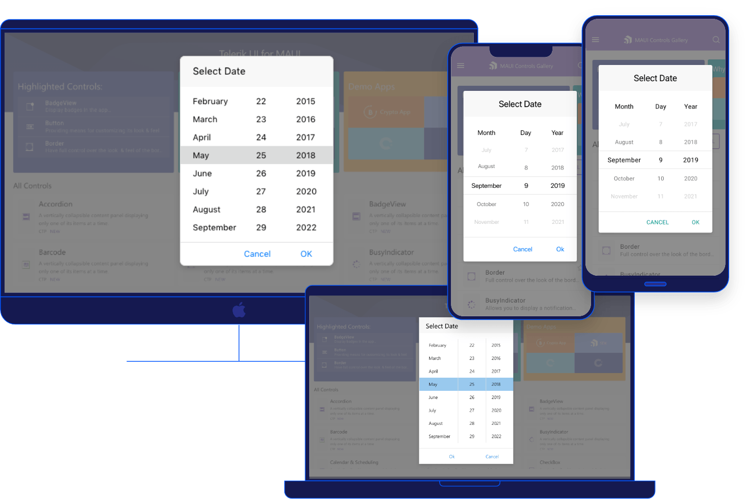 .NET MAUI DataPicker插图