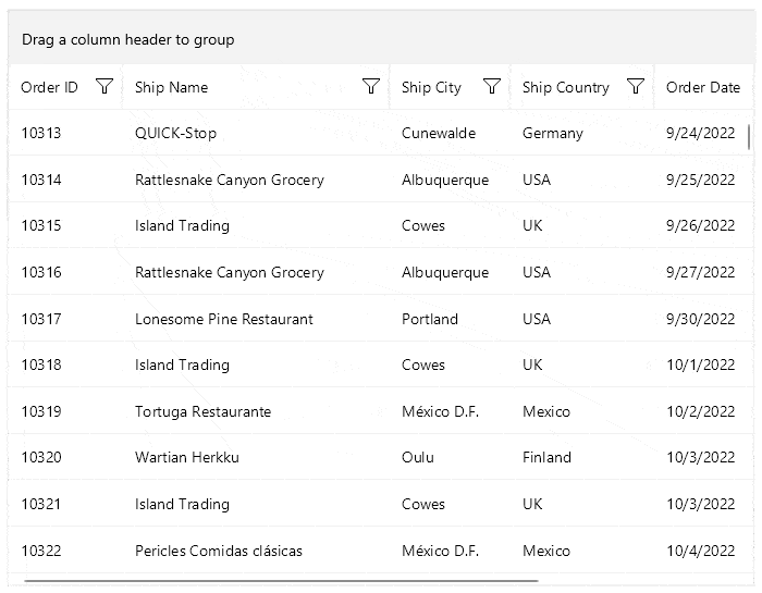 NET MAUI DataGrid displaying Search As You Type feature