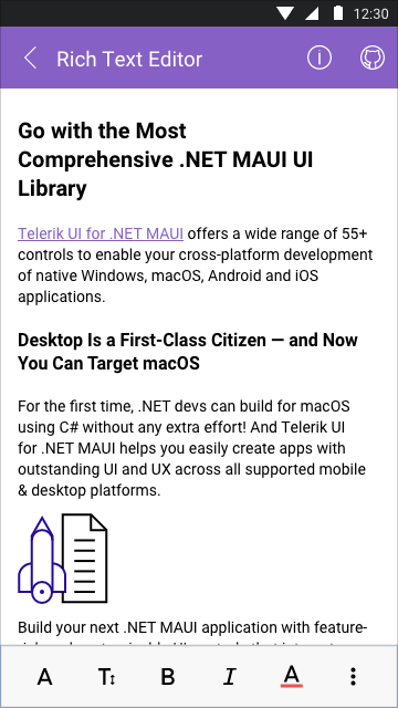NET MAUI Rich Text Editor - Overview