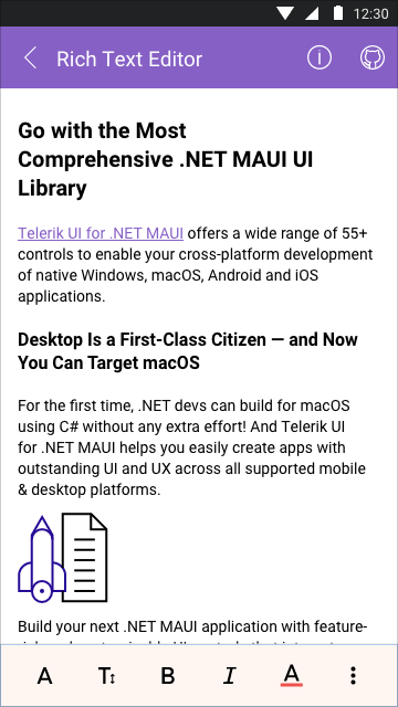 NET MAUI Rich Text Editor - Styling