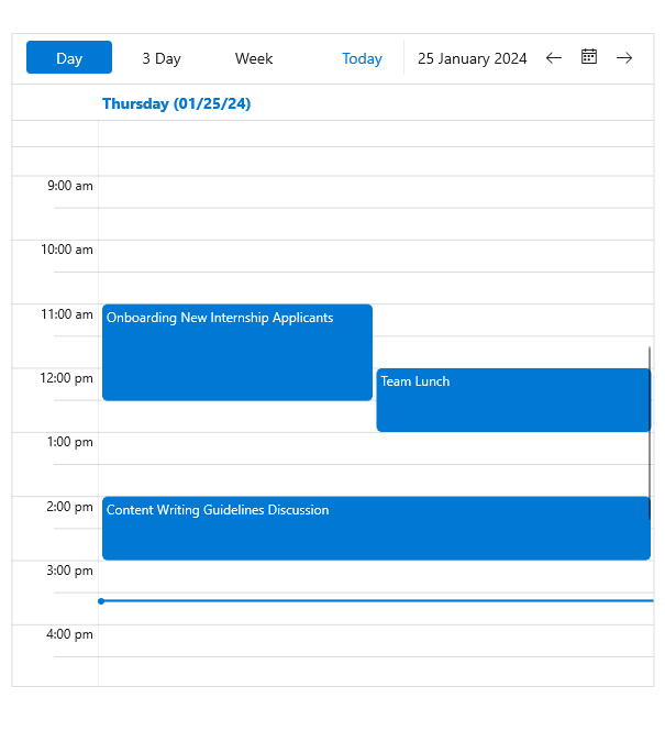 NET MAUI Scheduler component Custom Date Format